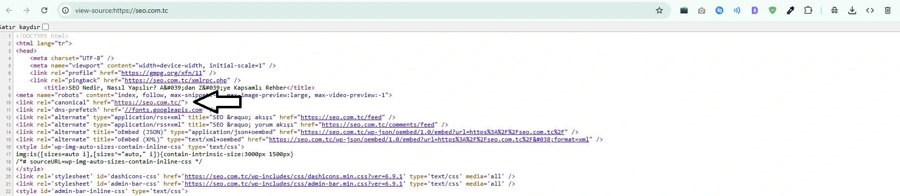 Örnek Canonical Etiketi